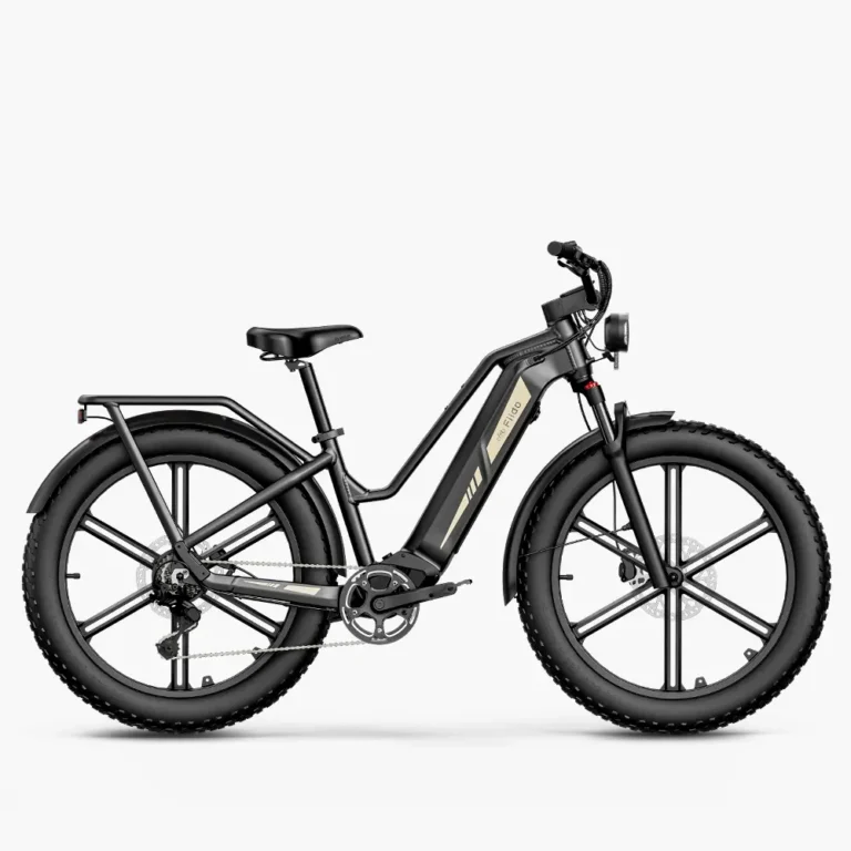 Titan Fat Tire Hunting and Touring Ebike – Long Range
