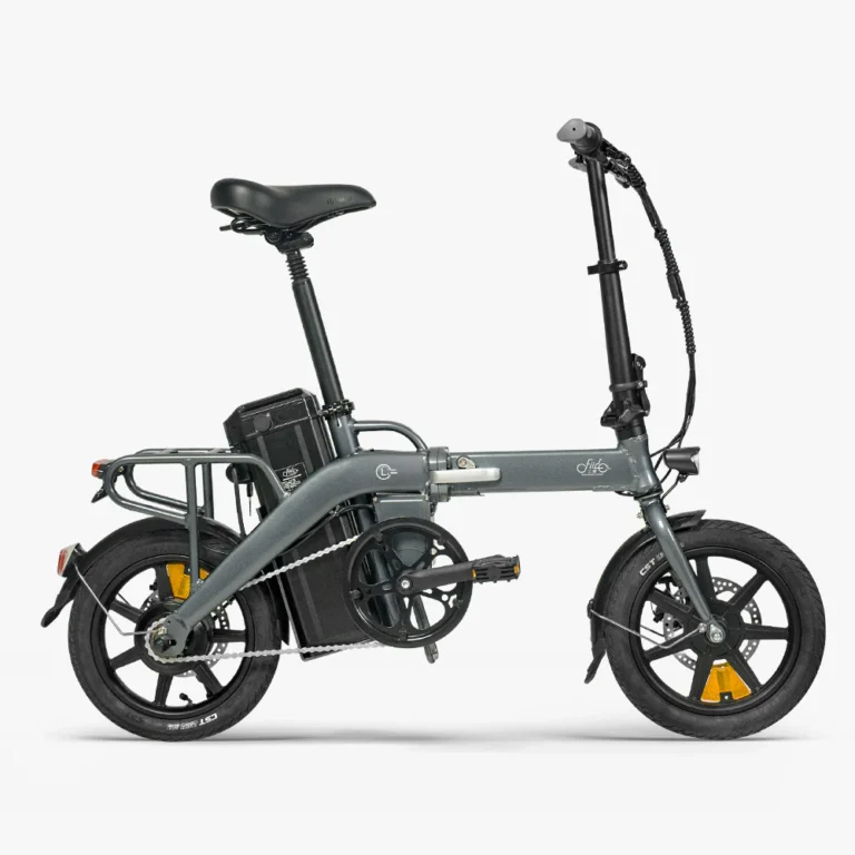 Fiido L3 Long Range Electric Bike